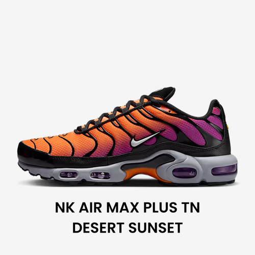 Special Sneakers™️