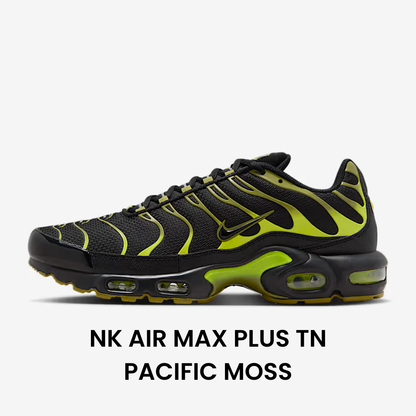 Special Sneakers™️
